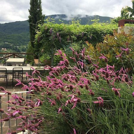 Agriturismo Braccicorti Hotel Pieve Fosciana Luaran gambar