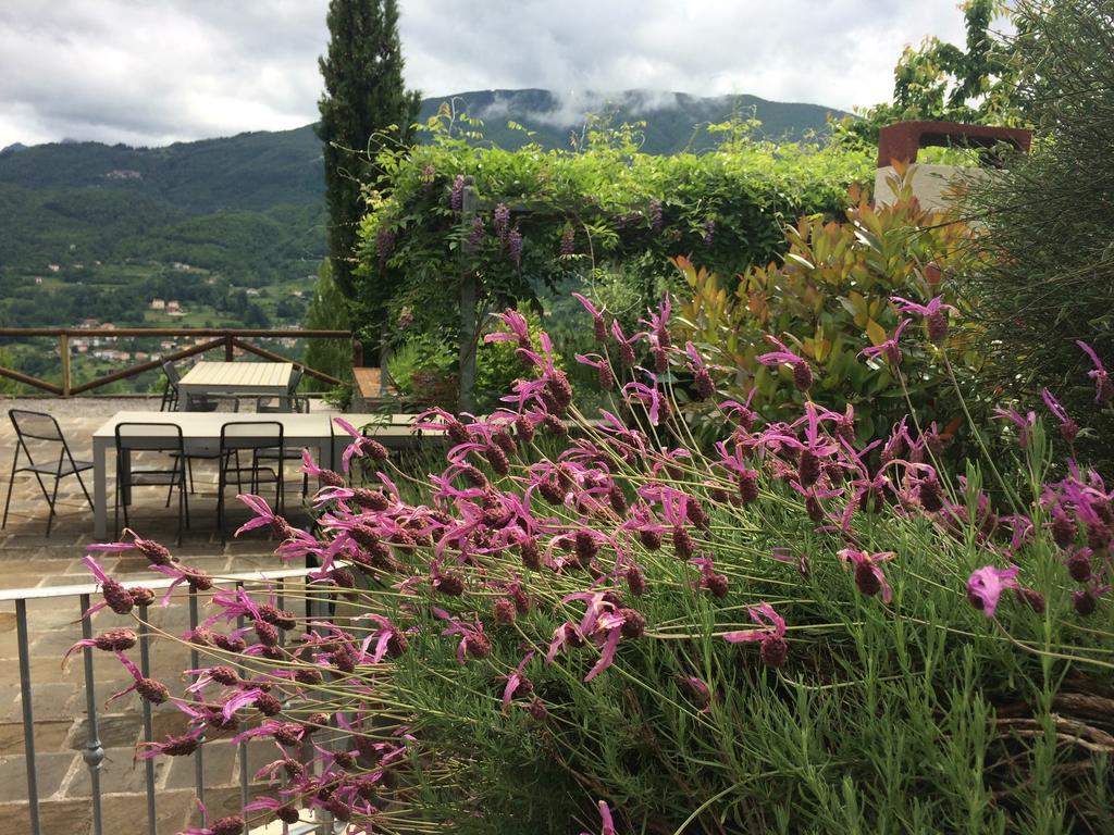 Agriturismo Braccicorti Hotel Pieve Fosciana Luaran gambar