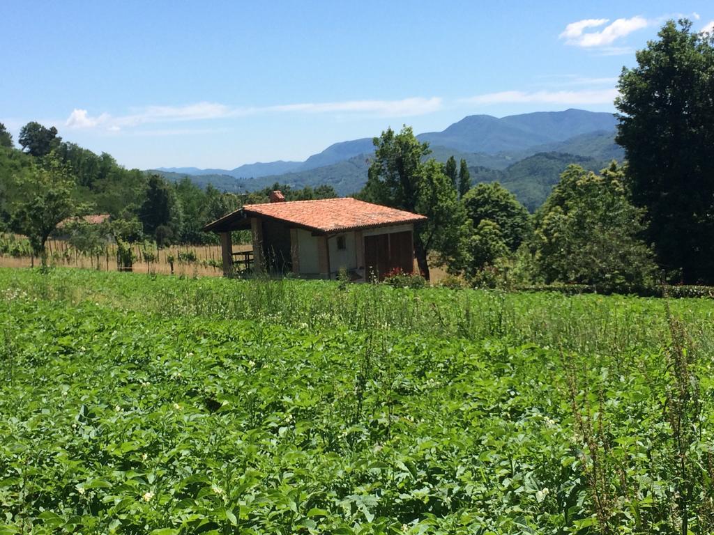 Agriturismo Braccicorti Hotel Pieve Fosciana Luaran gambar